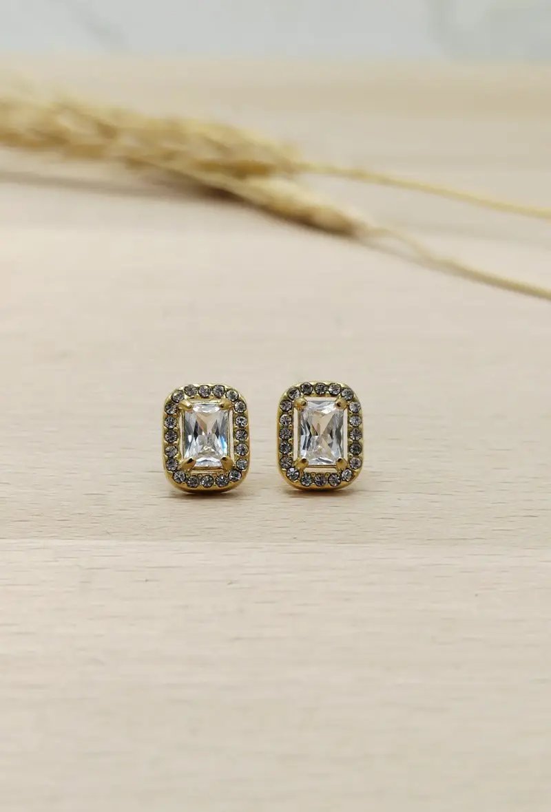 Pave Trim fancy earrings