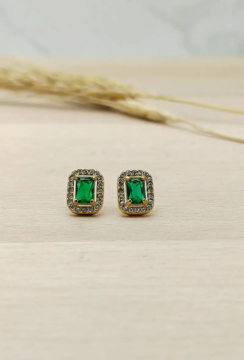 Pave Trim fancy earrings